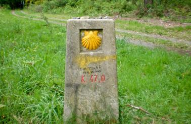 The scallop shell is the traditional symbol of the Camino de Santiago. 